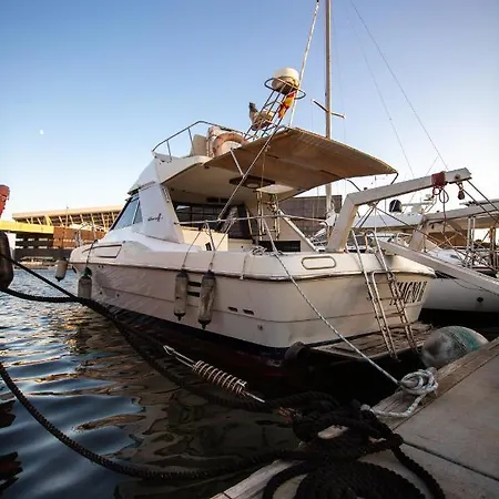 Magno Ii Boat Tekne *